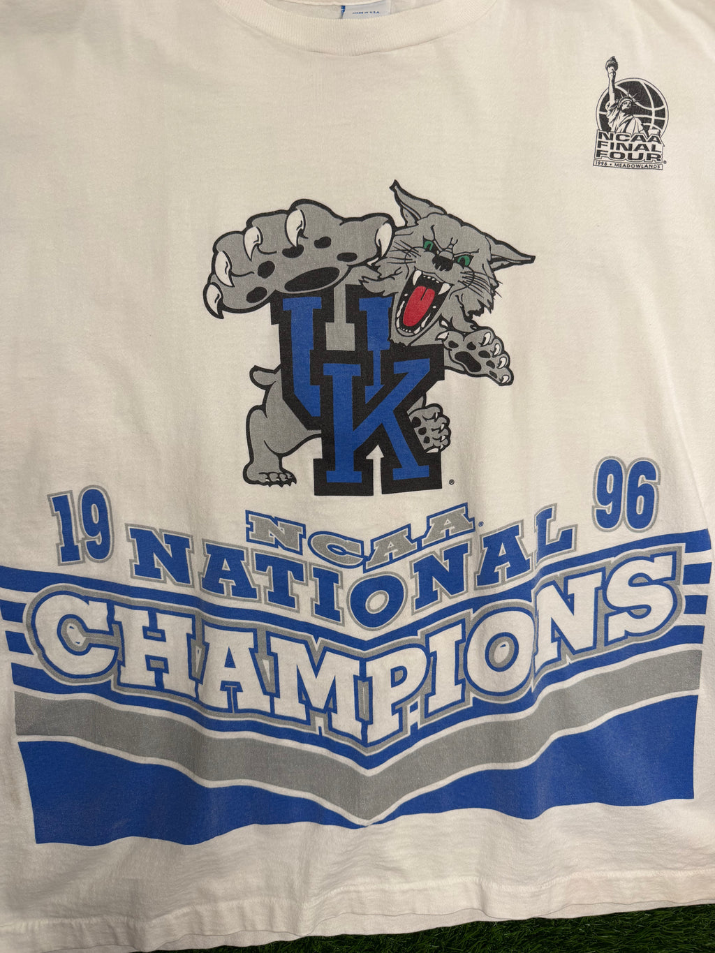 Vintage Salem Sportswear Kentucky Wilcats 1996 National Champs Jersey Tshirt