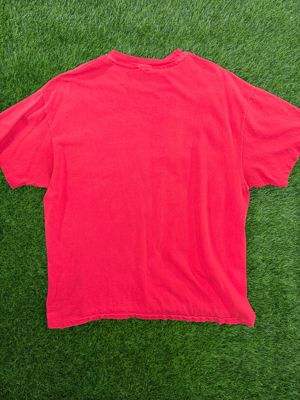 Vintage Champion Georgia State Tshirt