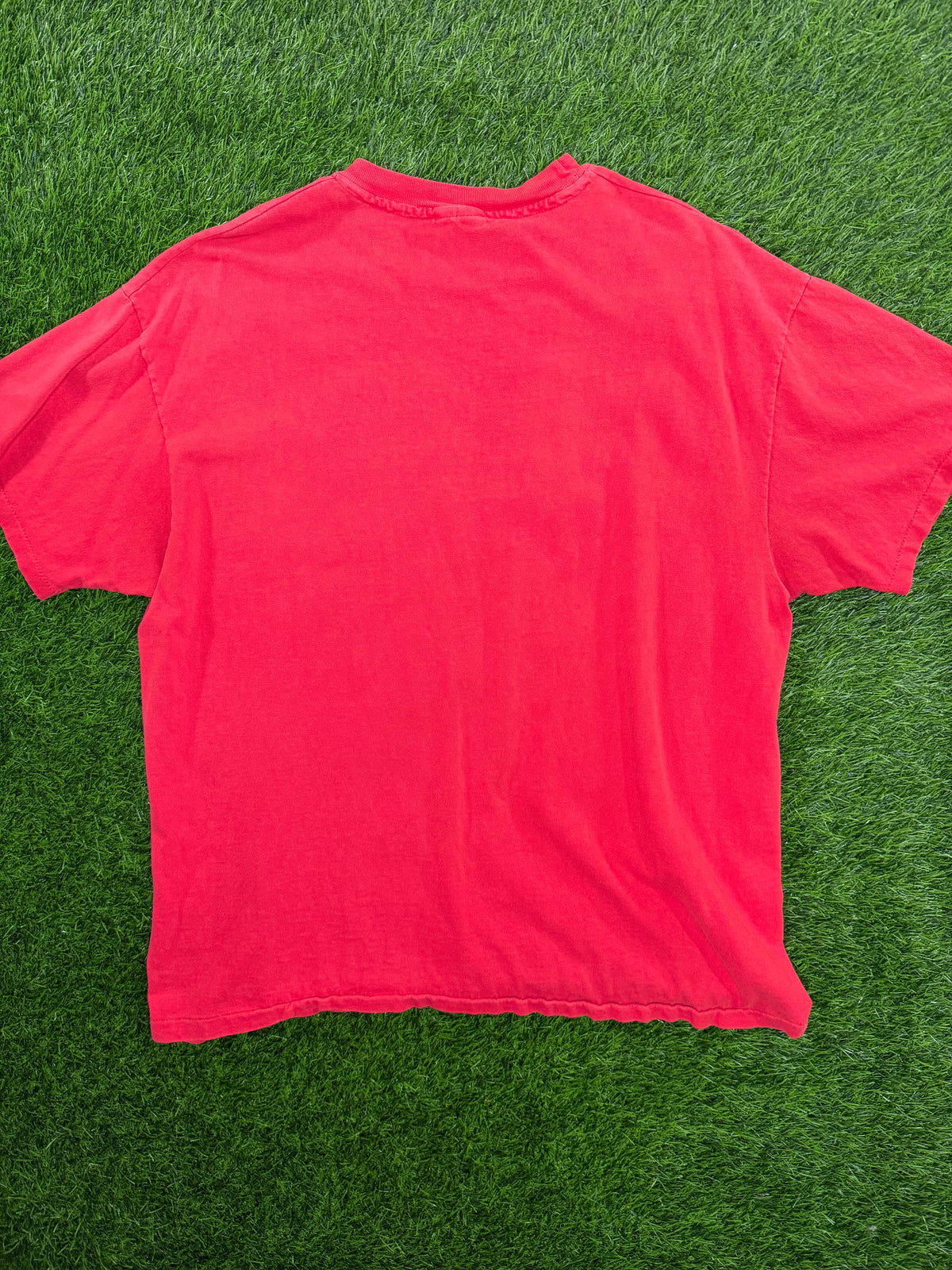 Vintage Champion Georgia State Tshirt