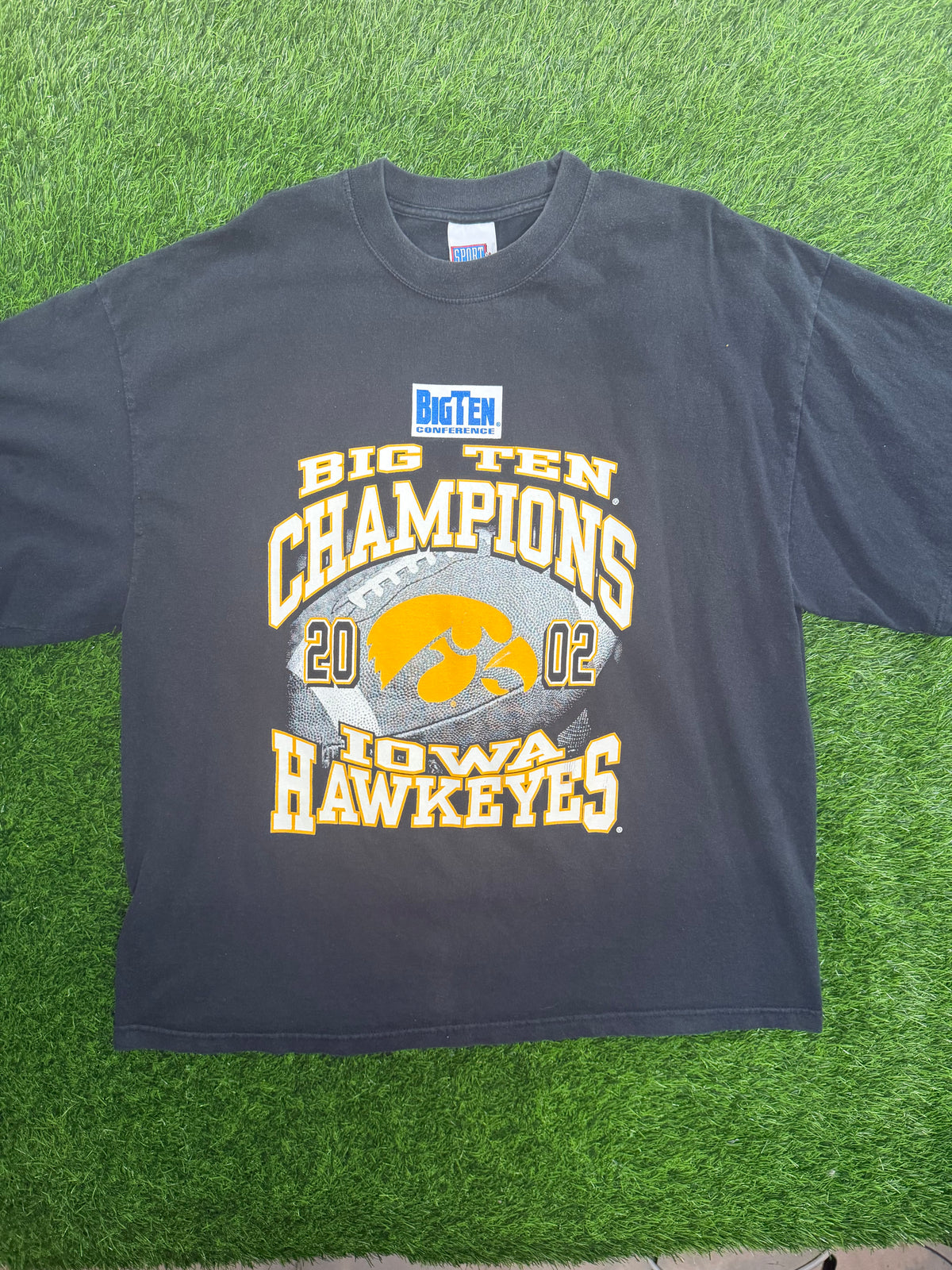 Vintage Iowa Hawkeyes 2002 Big Ten Champions Tshirt