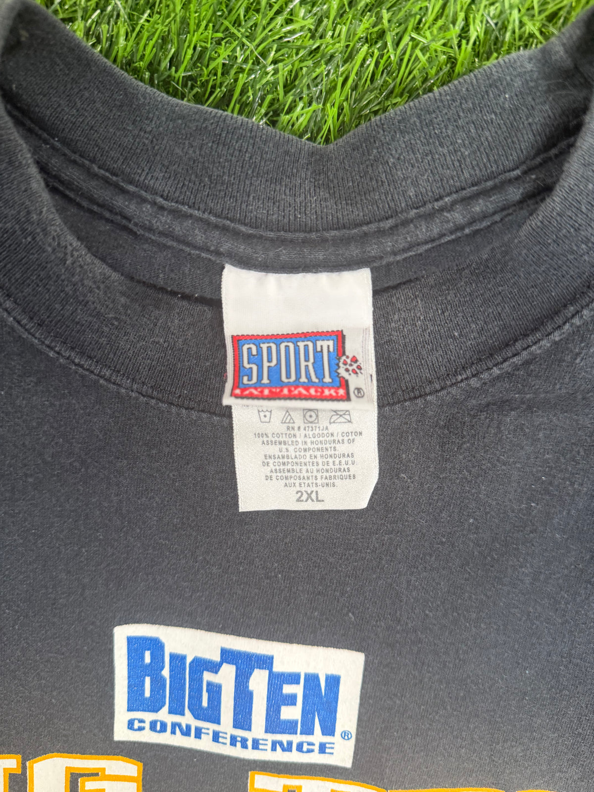 Vintage Iowa Hawkeyes 2002 Big Ten Champions Tshirt