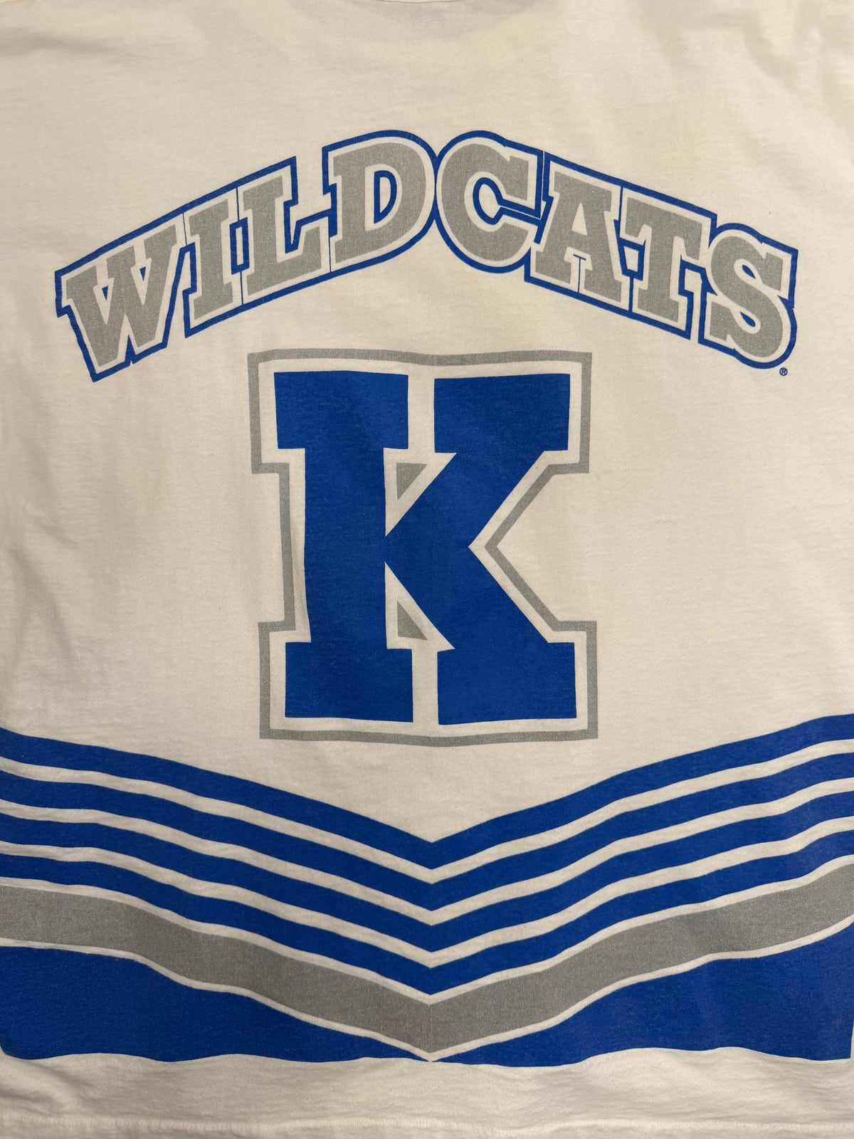 Vintage Salem Sportswear Kentucky Wilcats 1996 National Champs Jersey Tshirt