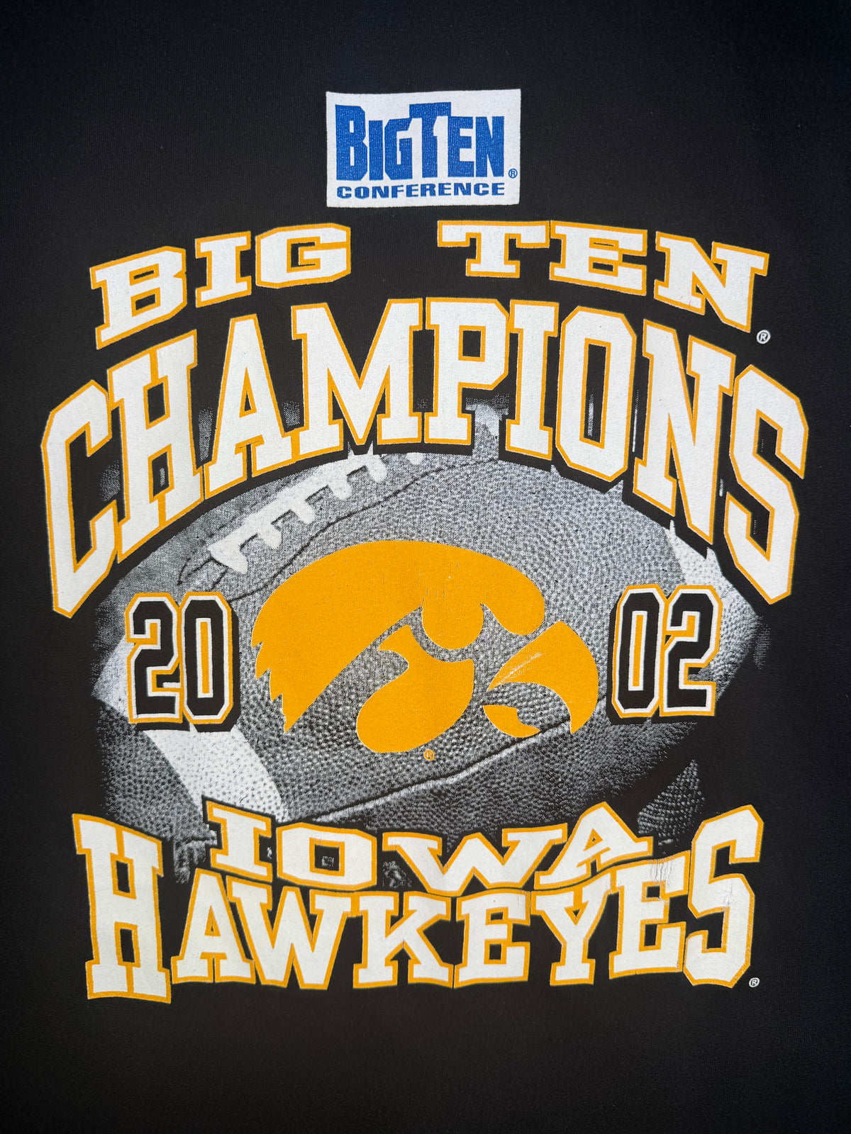 Vintage Iowa Hawkeyes 2002 Big Ten Champions Tshirt