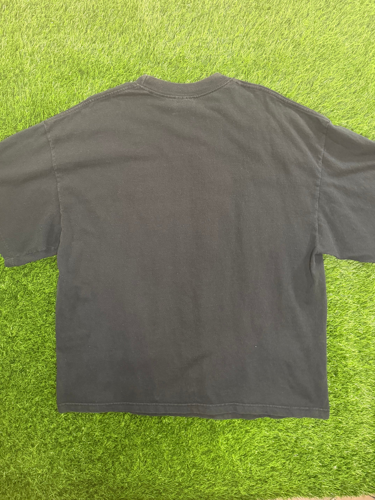 Vintage Iowa Hawkeyes 2002 Big Ten Champions Tshirt