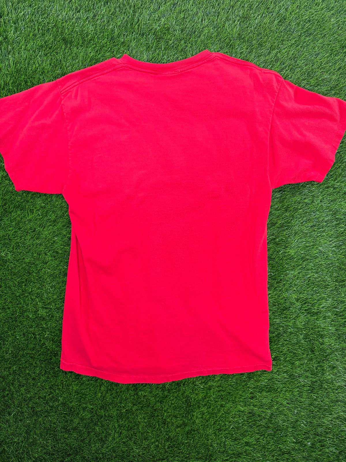 Vintage Nutmeg UNLV Runnin' Rebels Mascot Tshirt